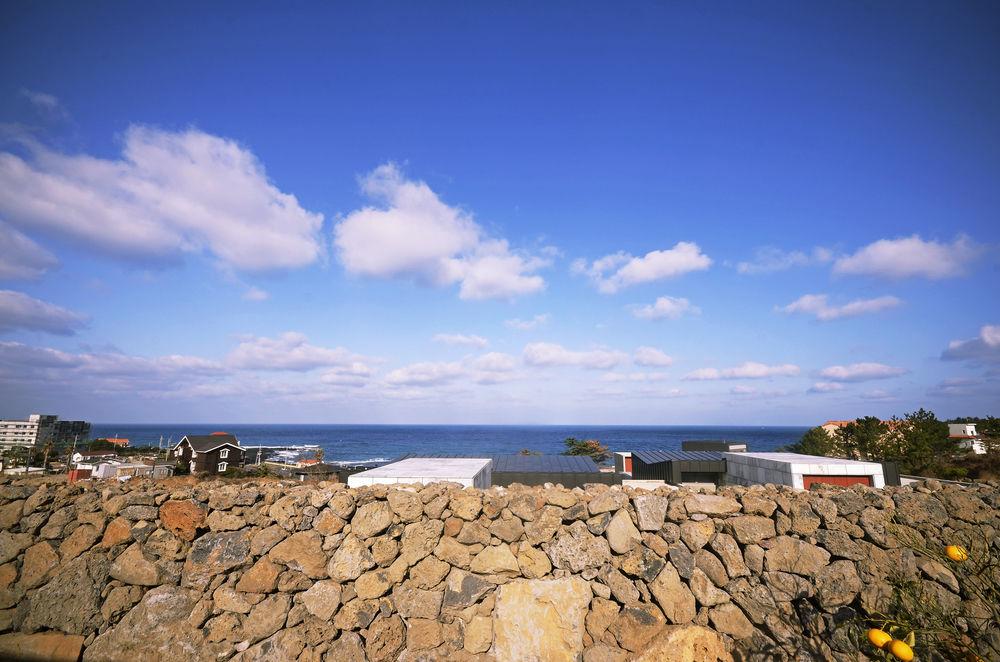 Stanford Hotel And Resort 済州市 エクステリア 写真